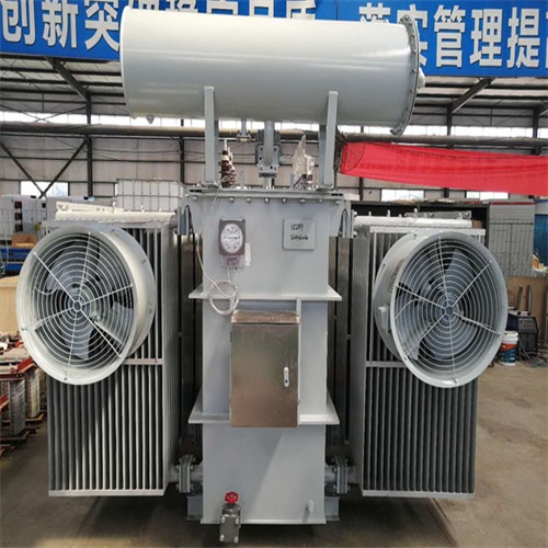 卧龙10KV油浸式变压器